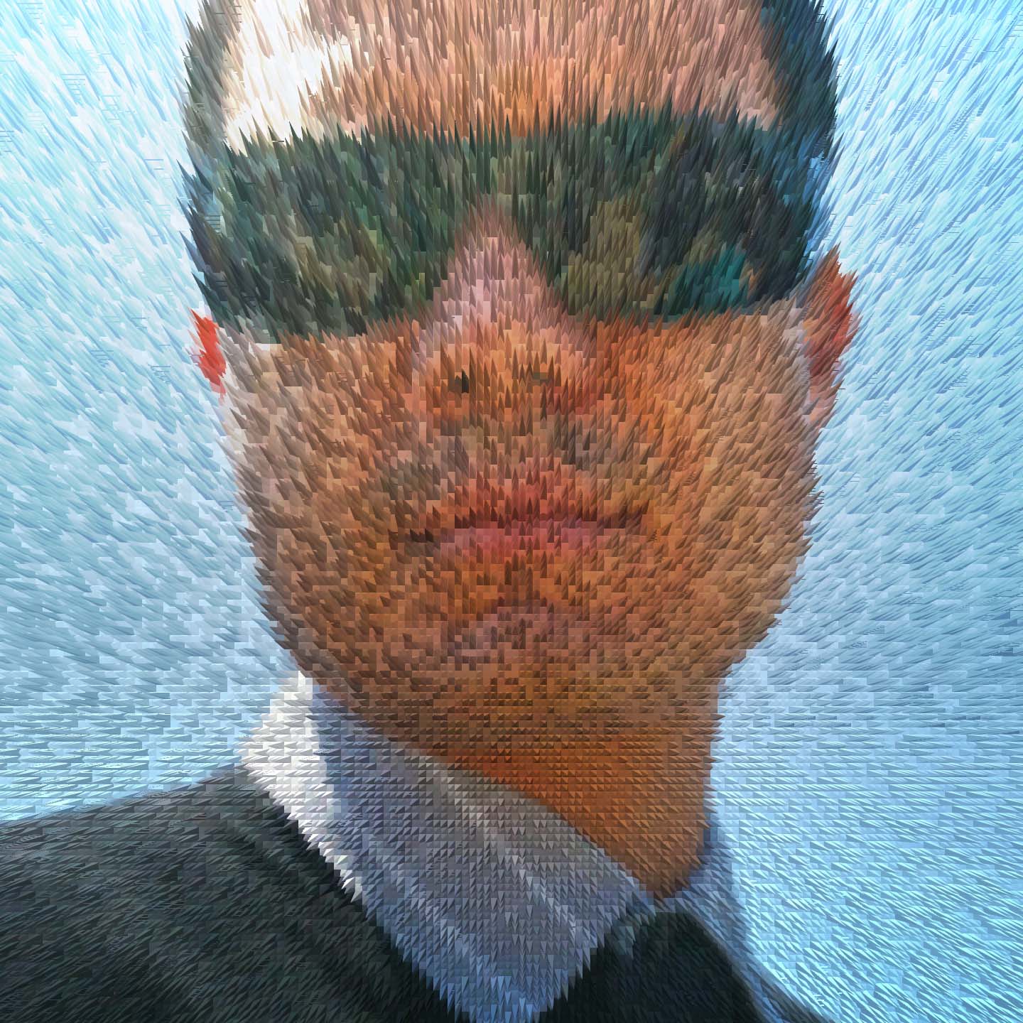 Ismael B