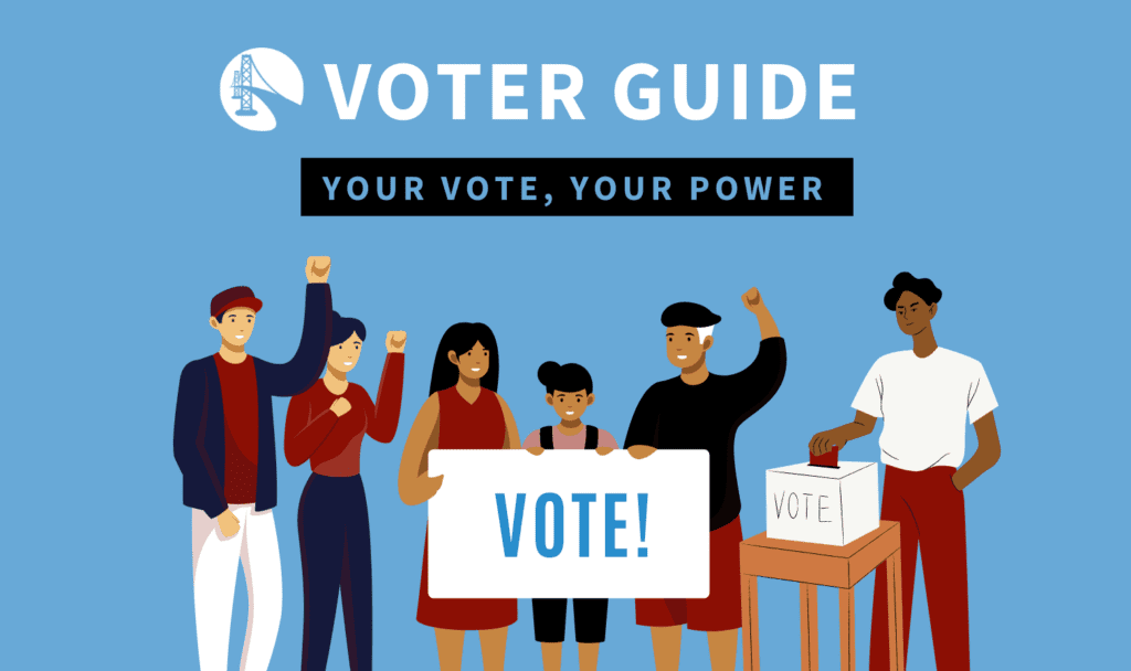IIBA Voter Guide Image